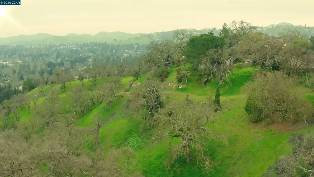 100 Los Balcones Alamo CA 94507