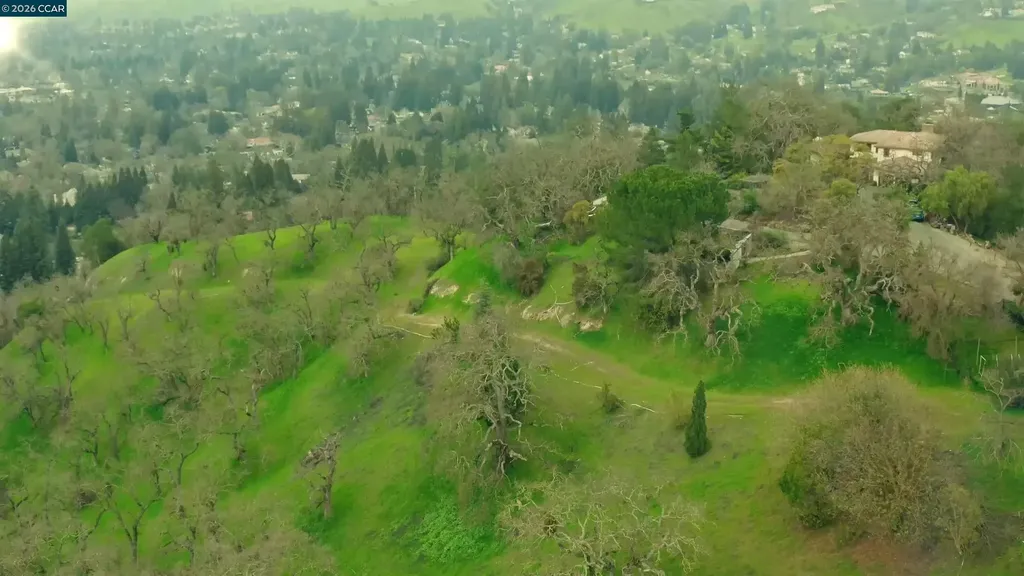 100 Los Balcones Alamo CA 94507