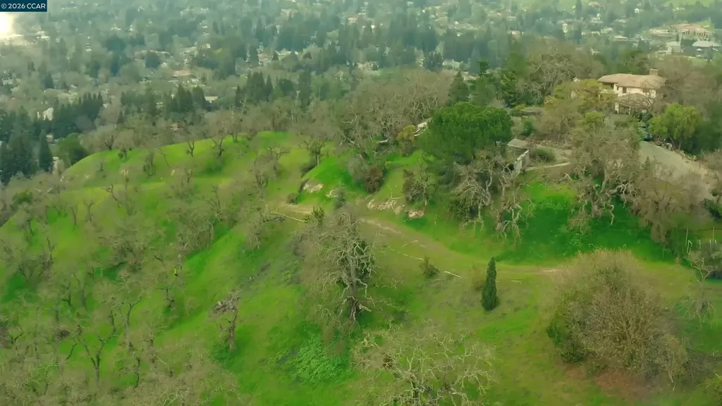 100 Los Balcones Alamo CA 94507