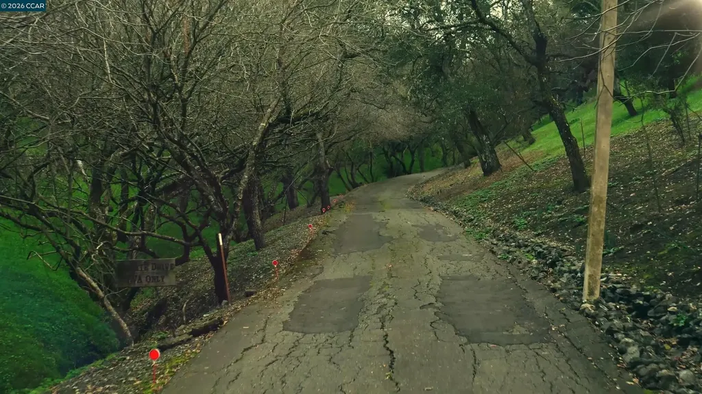 100 Los Balcones Alamo CA 94507