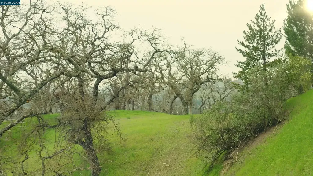 100 Los Balcones Alamo CA 94507