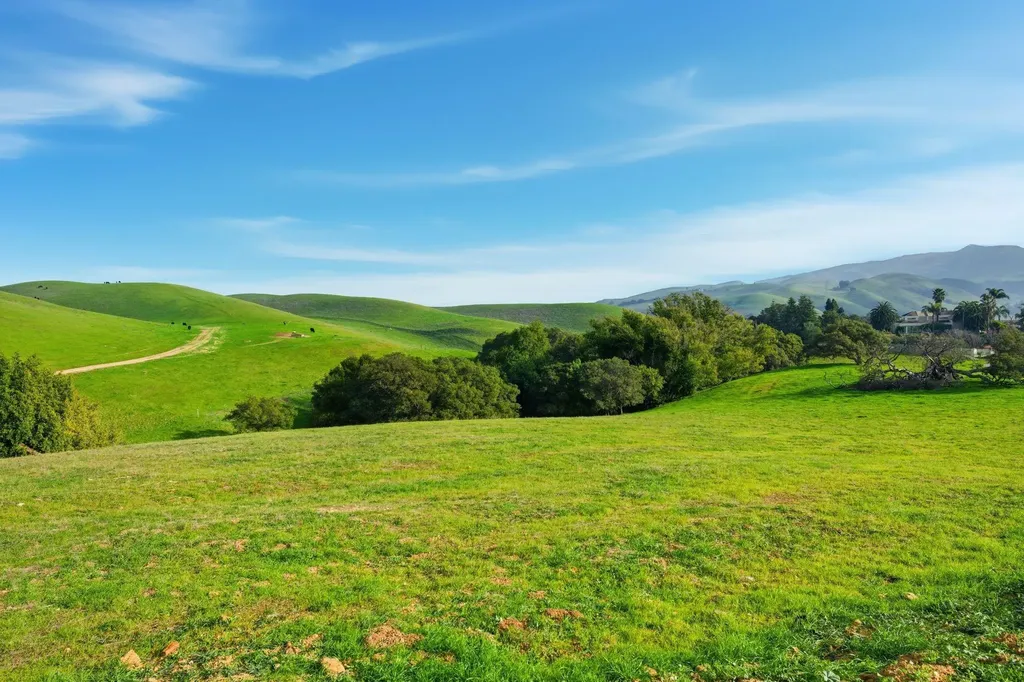 2395 Tecado Terrace Fremont CA 94539