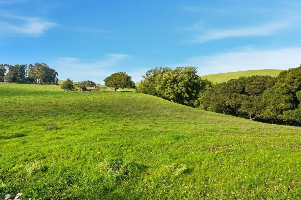 2395 Tecado Terrace Fremont CA 94539
