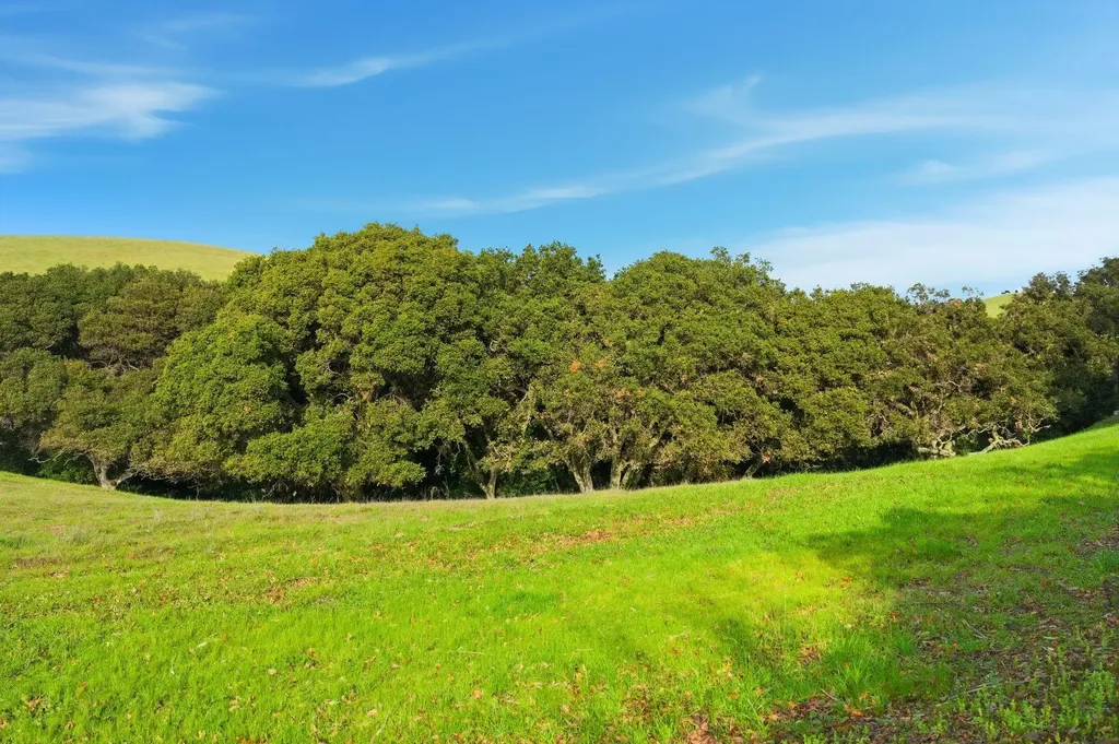 2395 Tecado Terrace Fremont CA 94539