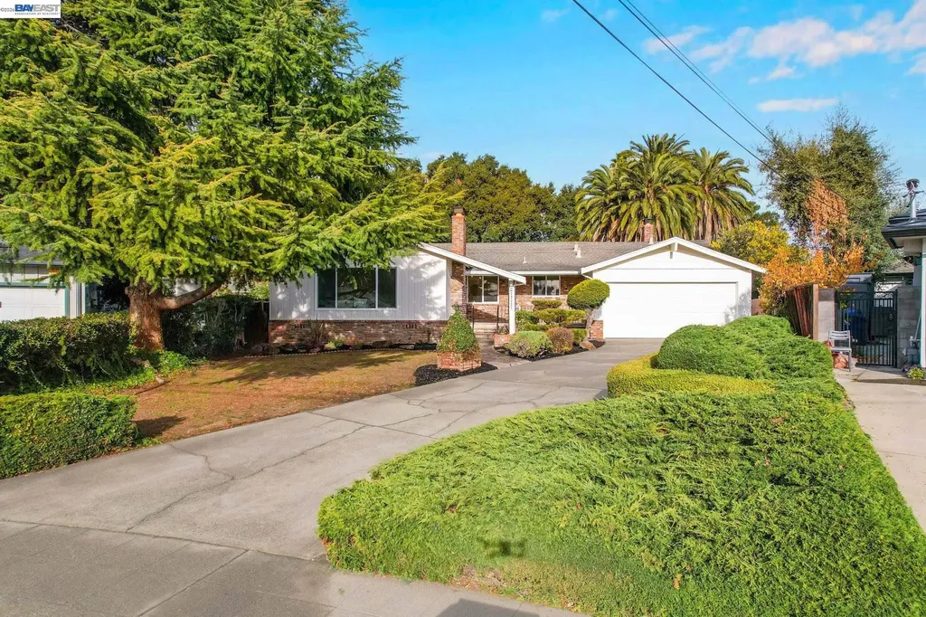 20255 Yeandle Avenue Castro Valley CA 94546