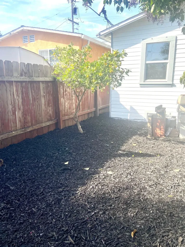 24386 Thomas Avenue Hayward CA 94544