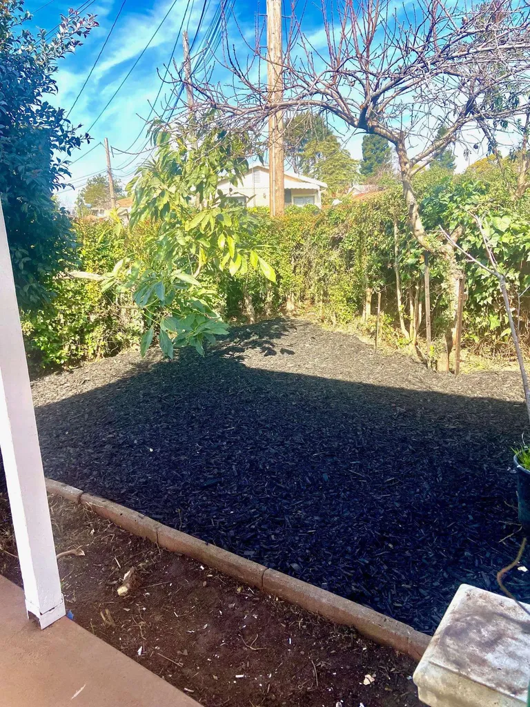 24386 Thomas Avenue Hayward CA 94544