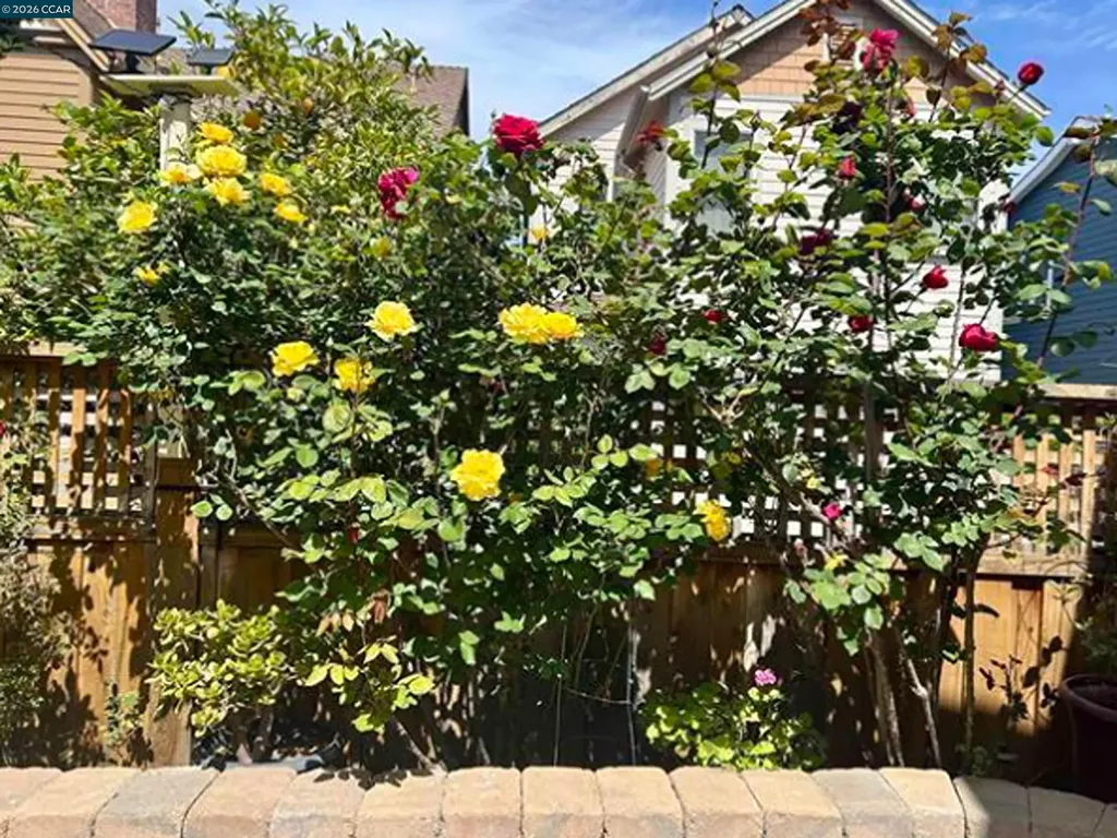 2036 Serra Lane Hercules CA 94547