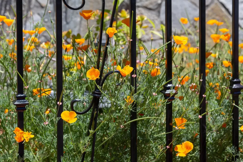 10353 Royal Oak Road Oakland CA 94605