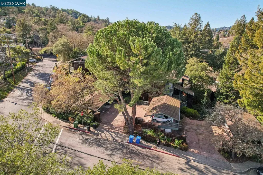 911 Dewing Avenue Lafayette CA 94549