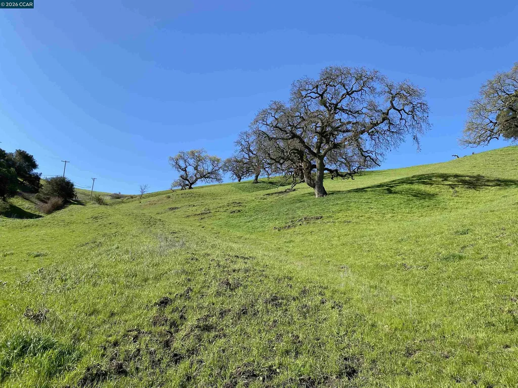 2490 Tassajara Lane Danville CA 94526