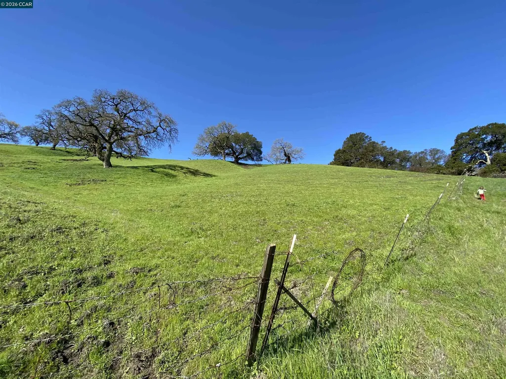 2490 Tassajara Lane Danville CA 94526