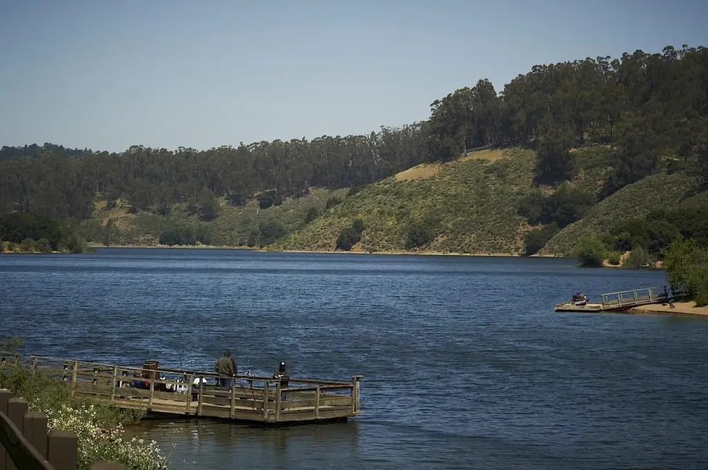 4515 Ewing Road Castro Valley CA 94546