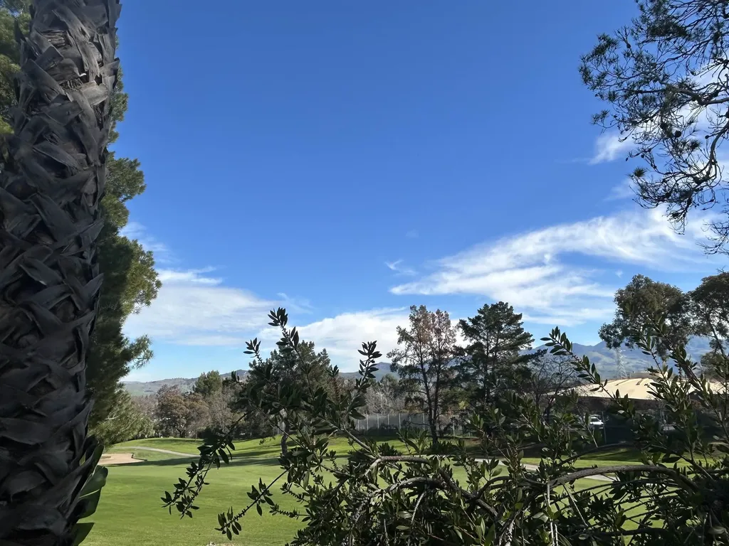 1632 Siskiyou Drive Walnut Creek CA 94598
