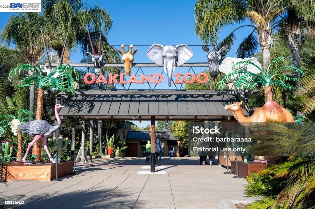 123 Ironwood Oakland CA 94605