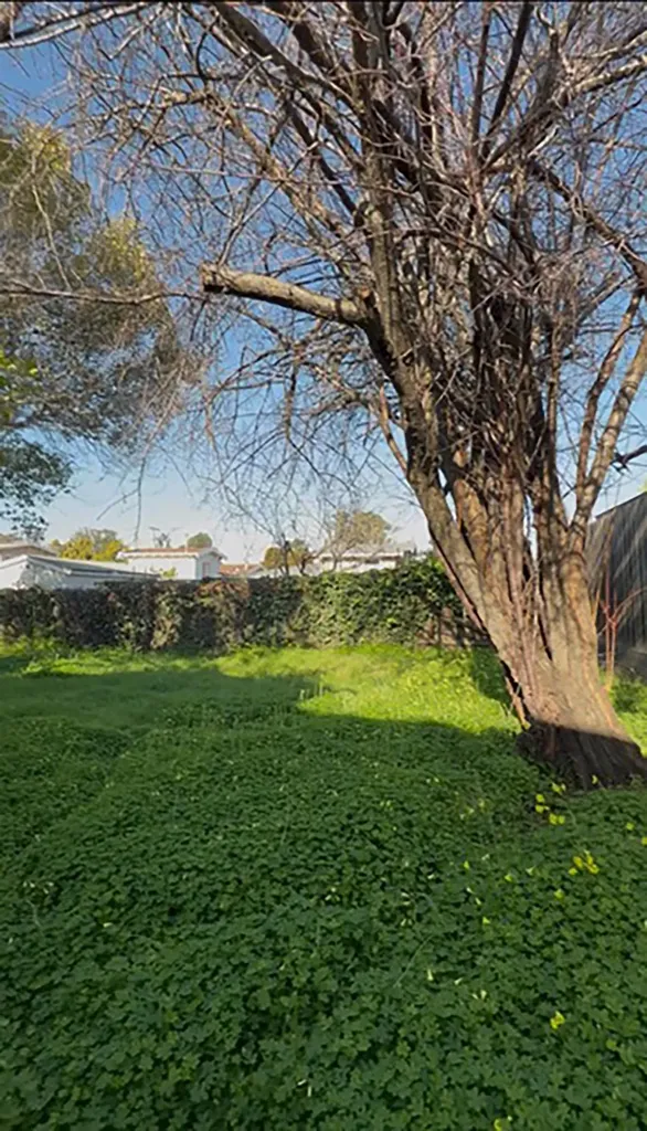 2933 35th Avenue Oakland CA 94619