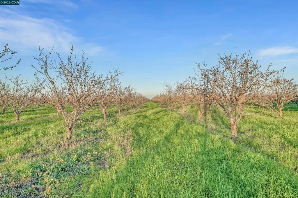 7760 Byron Highway Byron CA 94514