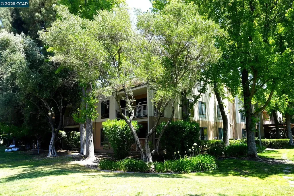 440 Civic Drive Walnut Creek CA 94596