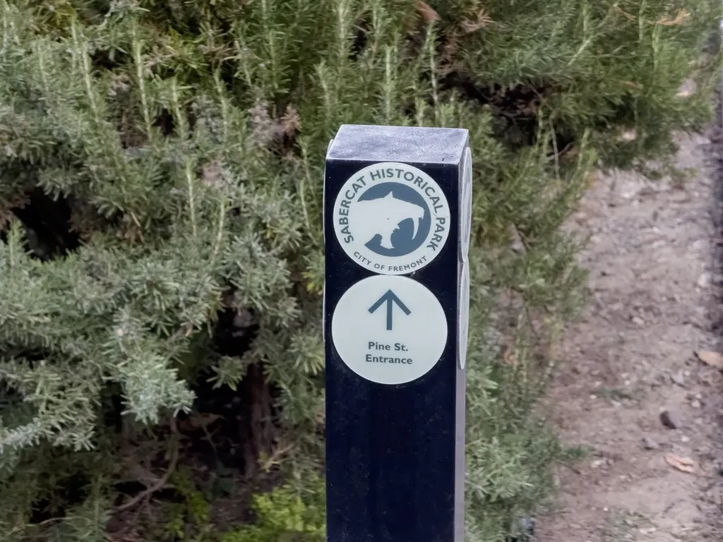 341 Dana Street Fremont CA 94539