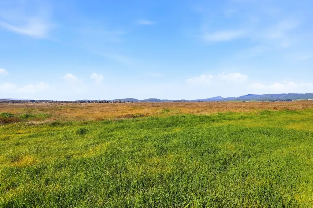 2060 Broadmoor Street Livermore CA 94551