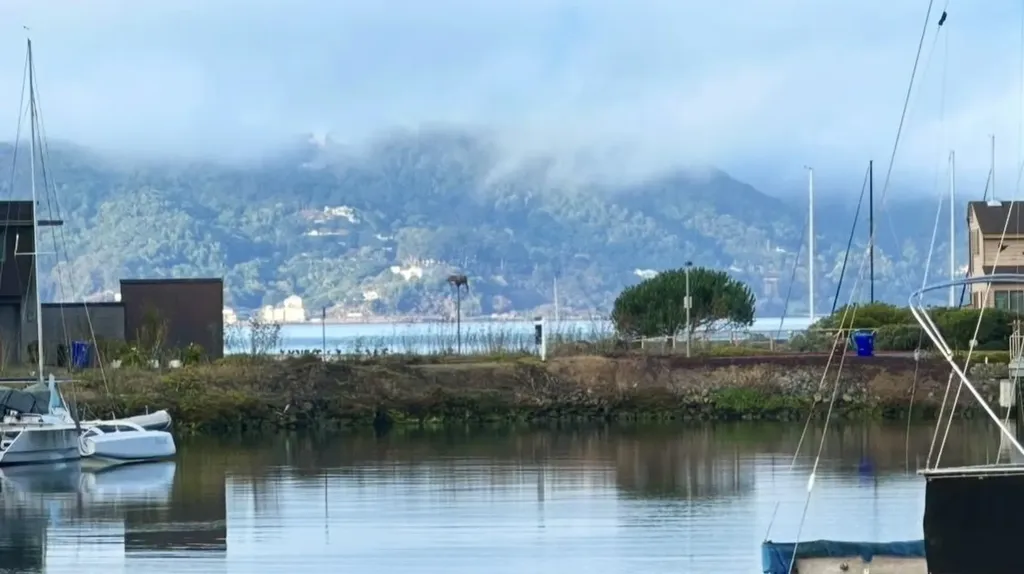1457 Sandpiper Spit Richmond CA 94801