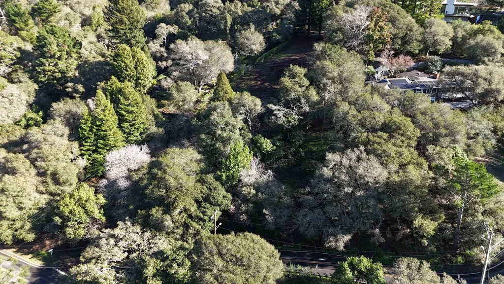 1488 Alvarado Road Berkeley CA 94705