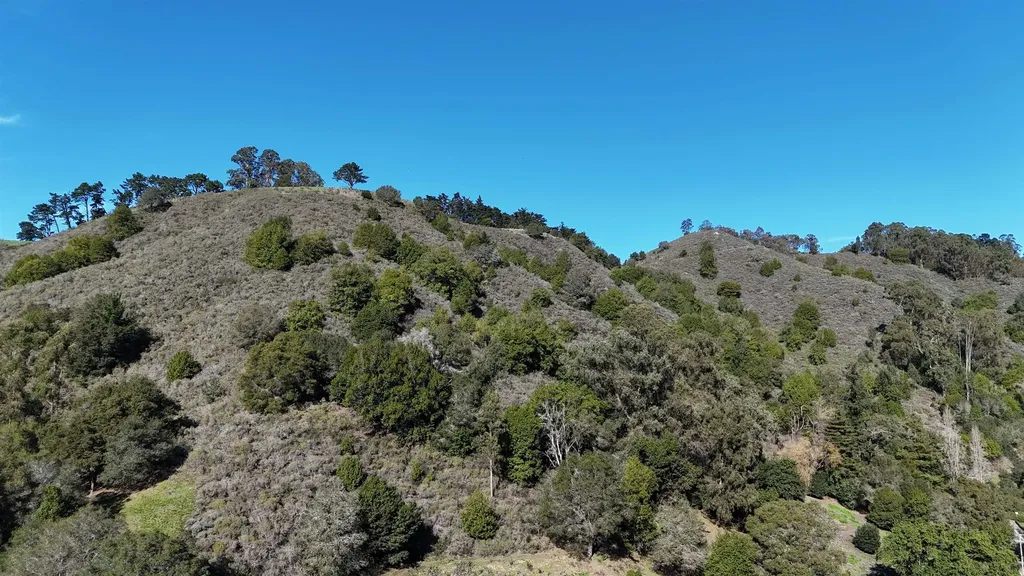 1488 Alvarado Road Berkeley CA 94705