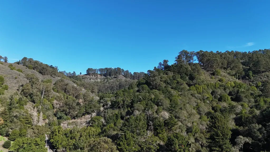 1488 Alvarado Road Berkeley CA 94705