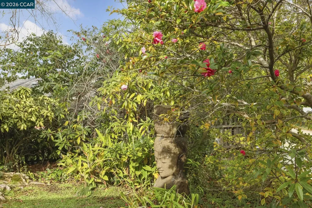 204 El Camino Real Berkeley CA 94705