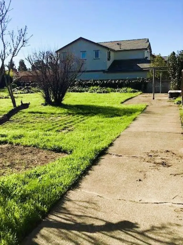 24741 Calaroga Avenue Hayward CA 94545