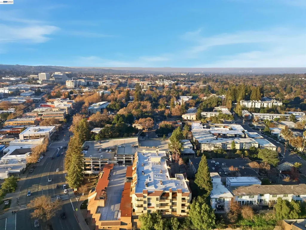 1201 Alta Vista Drive Walnut Creek CA 94596