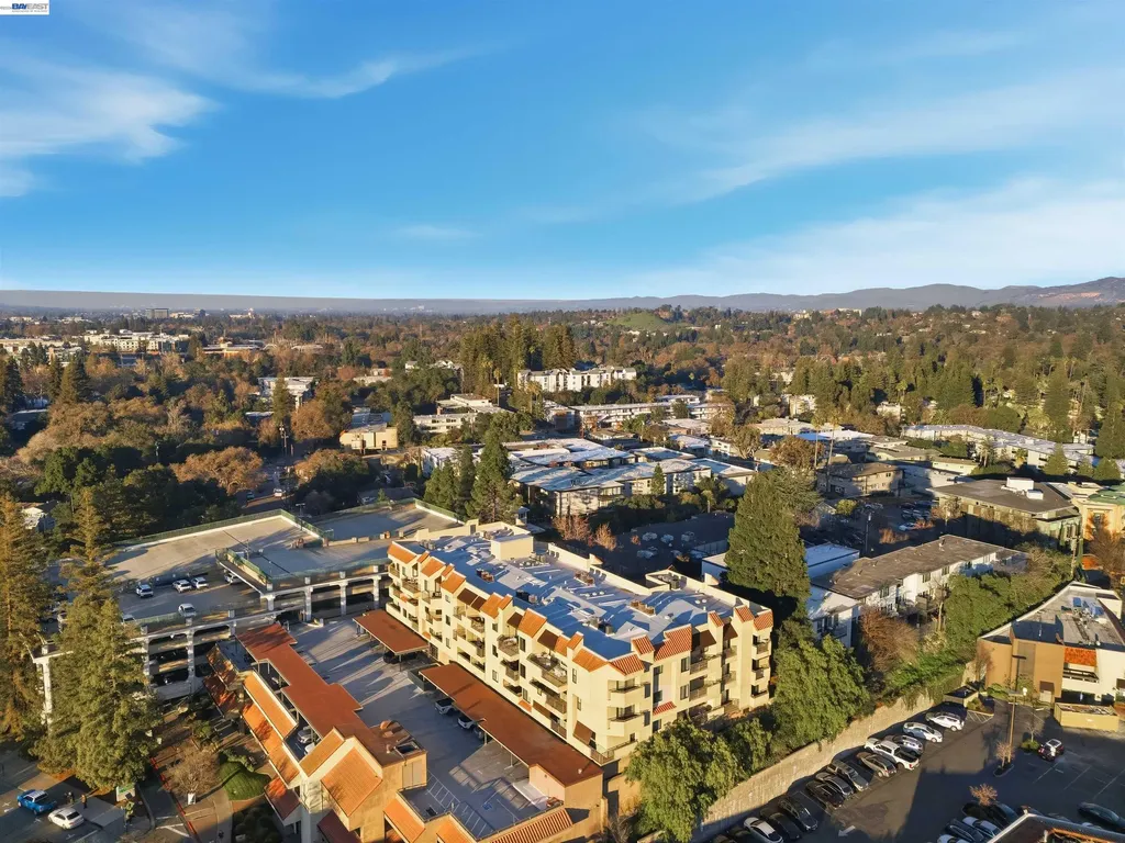 1201 Alta Vista Drive Walnut Creek CA 94596