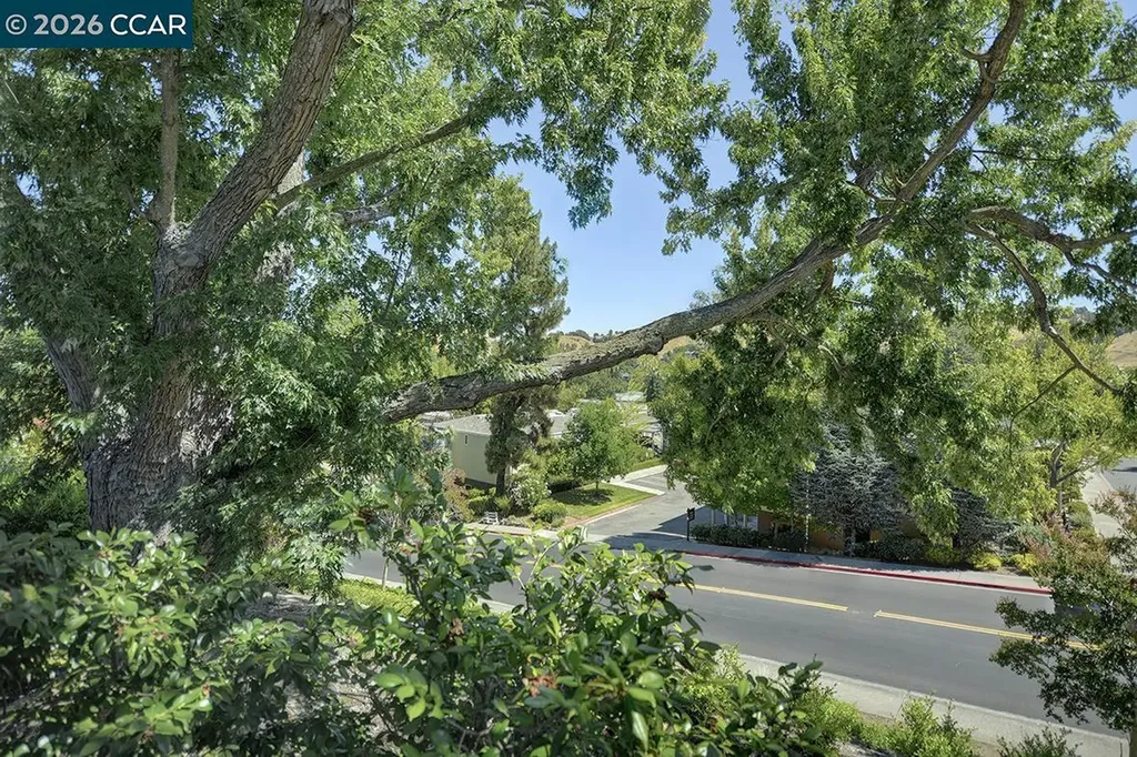 1124 Singingwood Court Walnut Creek CA 94595
