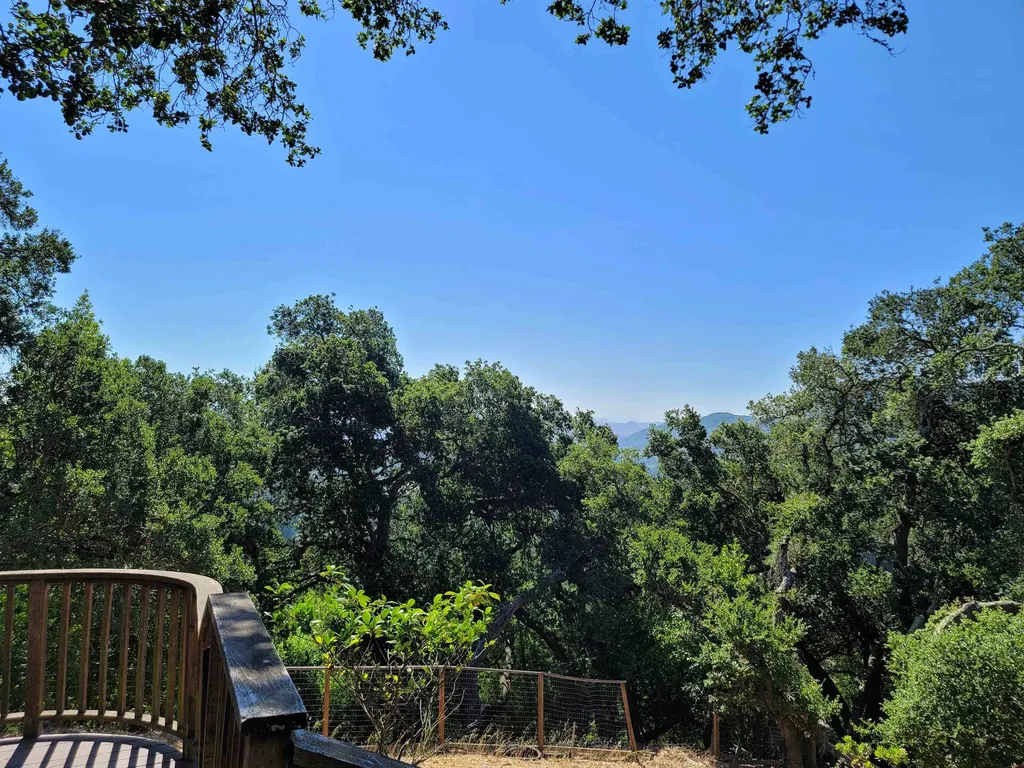 40 Hilldale Court Orinda CA 94563