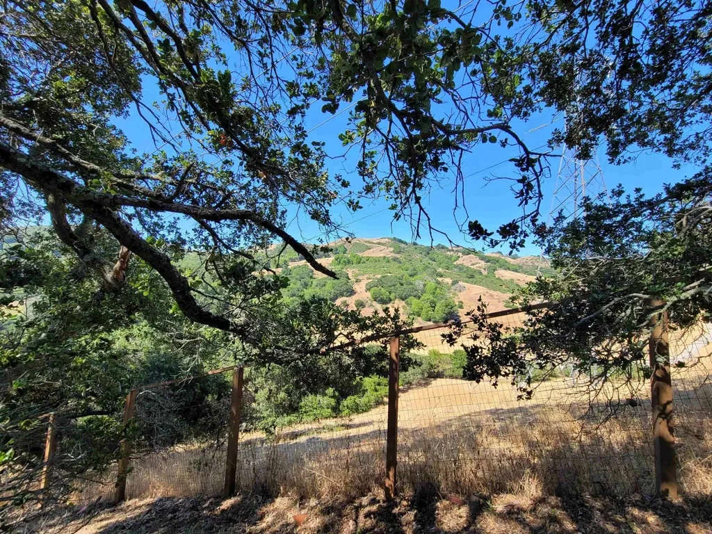 40 Hilldale Court Orinda CA 94563