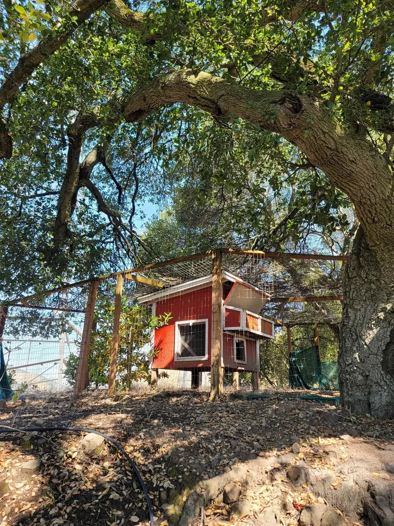 40 Hilldale Court Orinda CA 94563