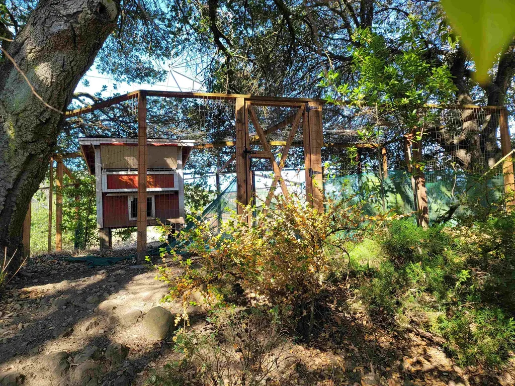 40 Hilldale Court Orinda CA 94563