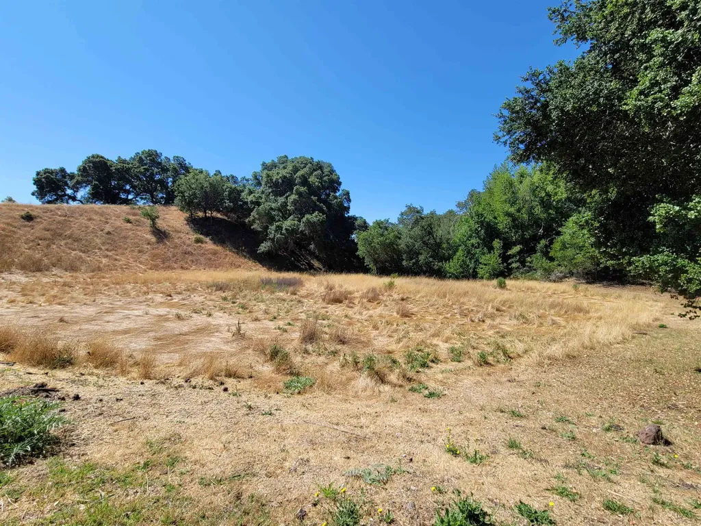 40 Hilldale Court Orinda CA 94563