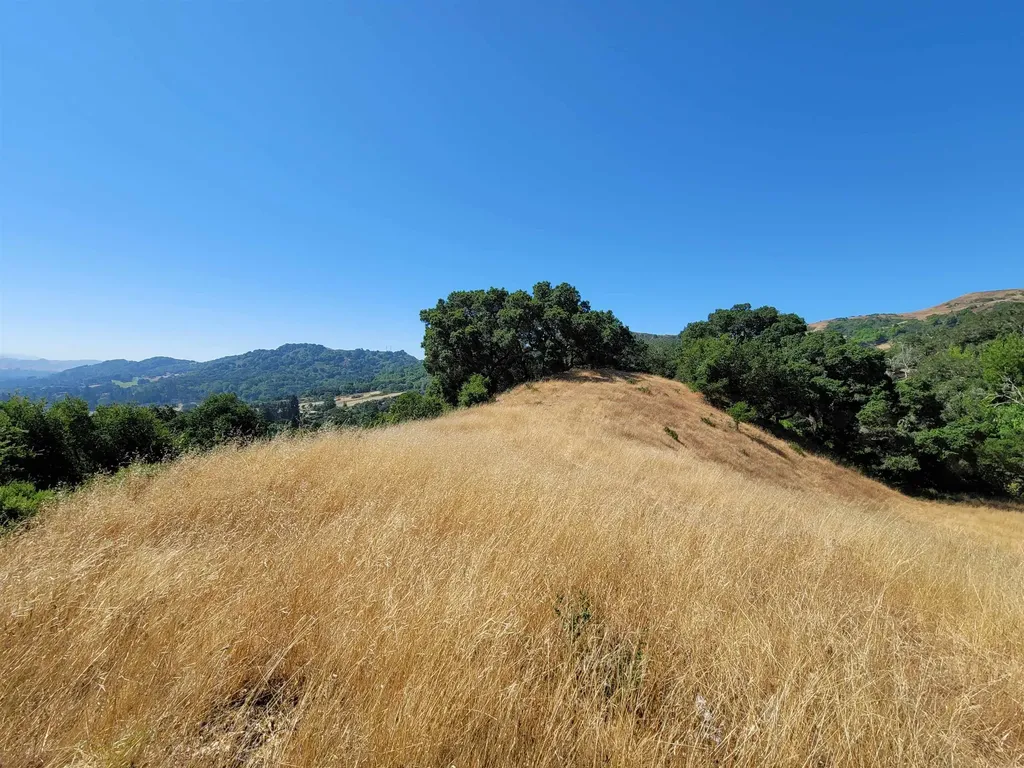 40 Hilldale Court Orinda CA 94563