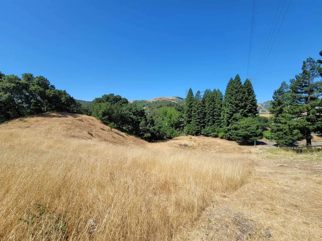 40 Hilldale Court Orinda CA 94563
