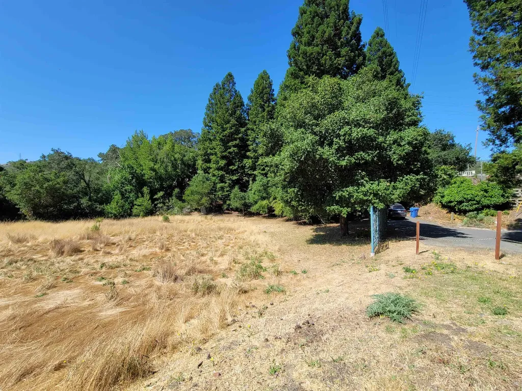 40 Hilldale Court Orinda CA 94563