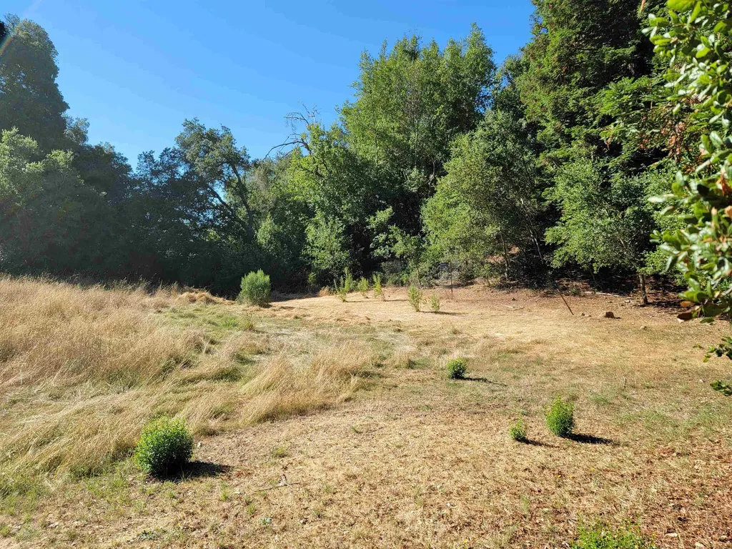 40 Hilldale Court Orinda CA 94563