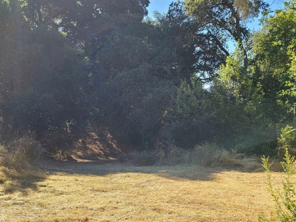 40 Hilldale Court Orinda CA 94563