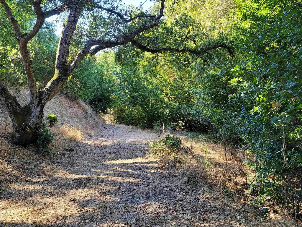 40 Hilldale Court Orinda CA 94563