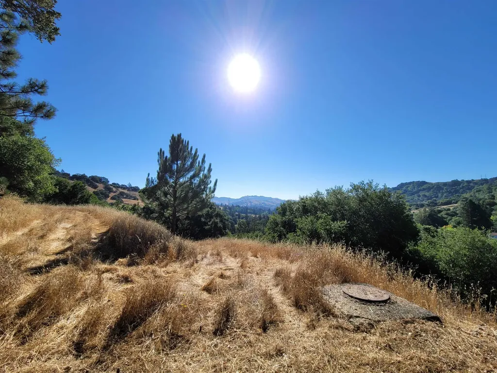 40 Hilldale Court Orinda CA 94563