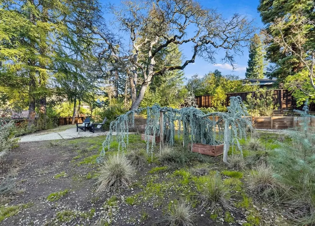 2530 Roundhill Drive Alamo CA 94507