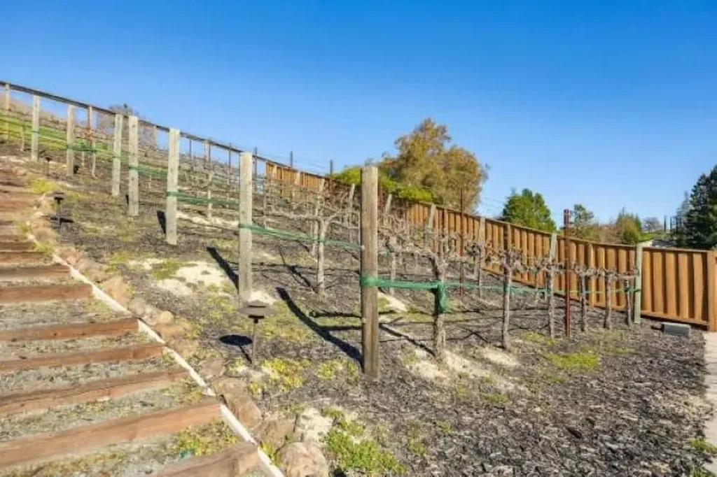 387 Golden Grass Drive Alamo CA 94507