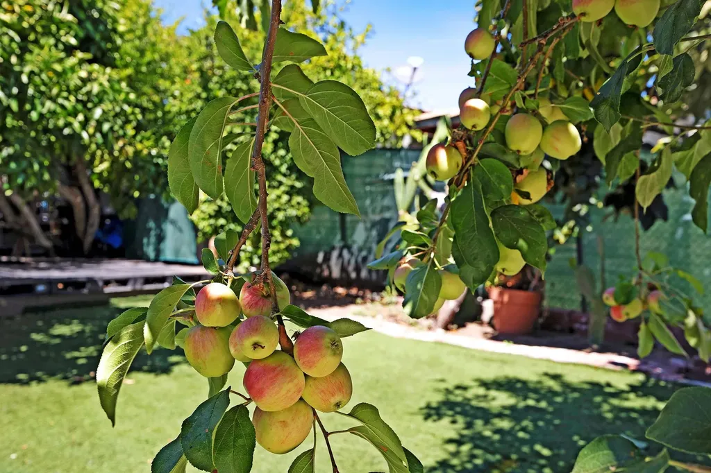 2309 High Street Oakland CA 94601