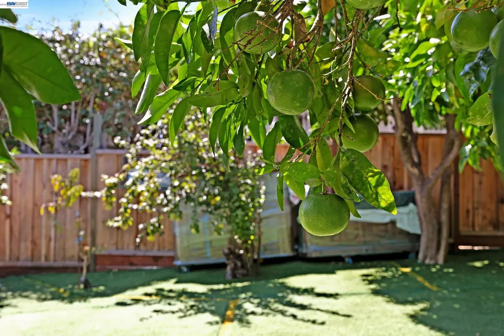 2309 High Street Oakland CA 94601