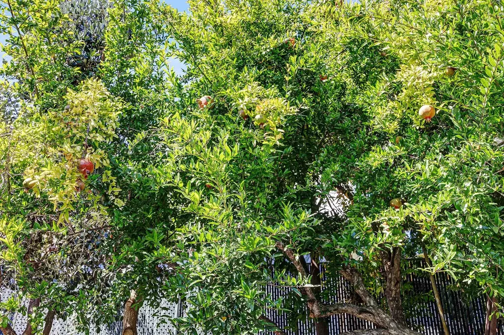 2309 High Street Oakland CA 94601